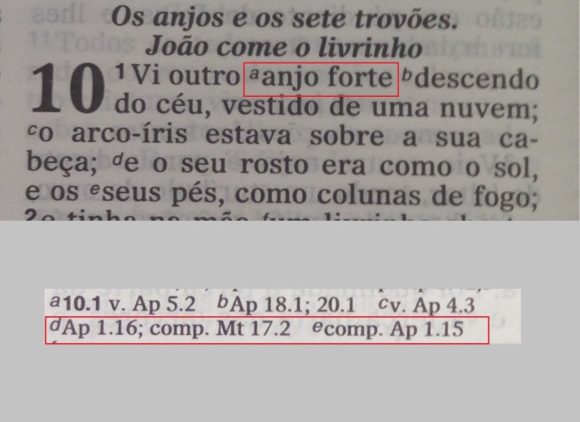 traducao brasileira 1.jpg
